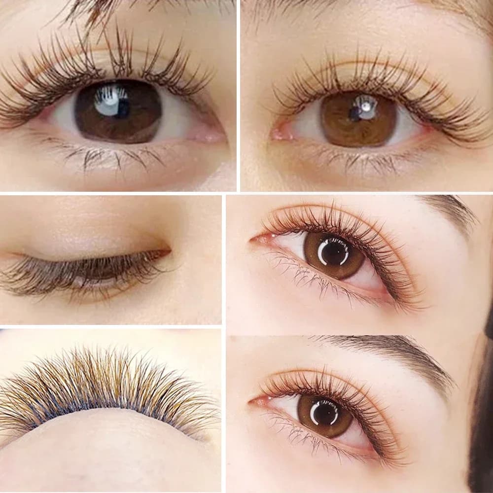Lông mi Flat Ellipse Nâu Đầu Chẻ B/C/D Curl 12 Hàng