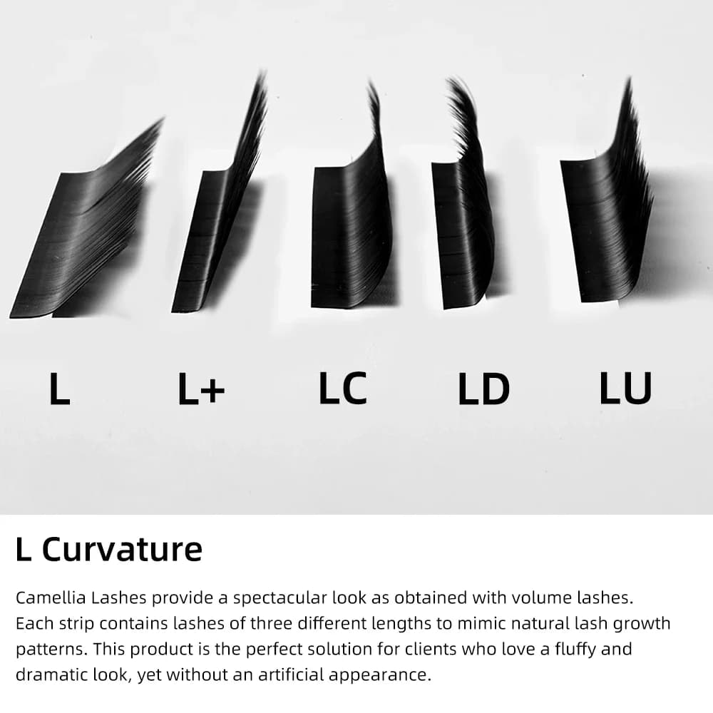 Mi nối từng sợi Volume Camellia bông nhẹ