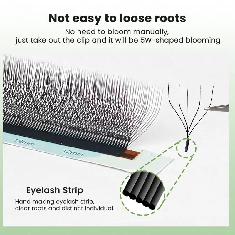 Nối mi volume dạng quạt W-shape 5D có sẵn